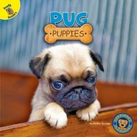 Pug Puppies von Rourke Educational Media