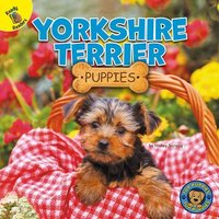 Yorkshire Terrier Puppies von Rourke Educational Media