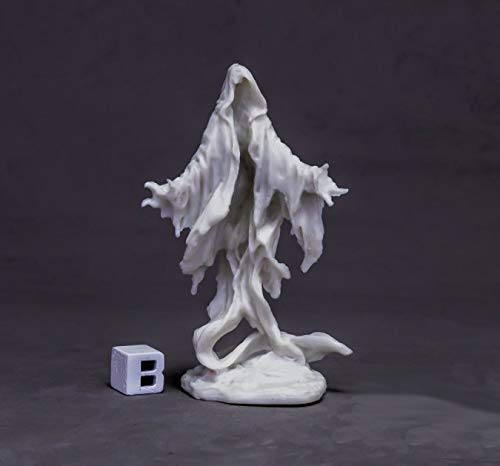 Pechetruite 1 x Death Shroud - Reaper Bones Miniature zum Rollenspiel Kriegsspiel - 77636 von Pechetruite