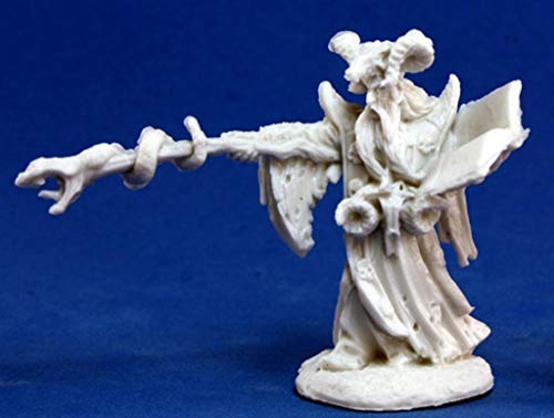 Pechetruite 1 x LEISYNN MERCENAIRE MAGE - Reaper Bones Miniature zum Rollenspiel Kriegsspiel - 77174 von Pechetruite