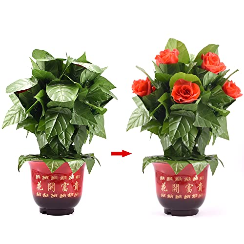 Blooming Rose Bush 10 Blumen - Fernbedienung Magic Tricks Blumen Appearing Magia Stage Illusions Gimmicks Mental Props Romantisch von Rebetomo