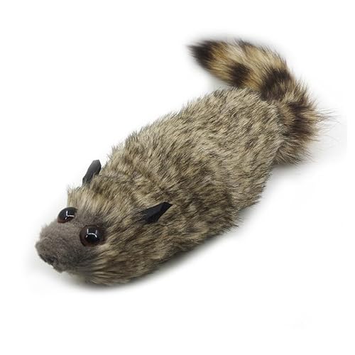 Rebetomo The Rocky Raccoon Robbie Magic Tricks Spring Animal Appearing Magic Stage Street Illusions Props Comedy Mentalism Gimmick Rebetomo The Rocky Raccoon Robbie Magic Tricks Spring Animal Appearing Magic Stage Street Illusions Props Comedy Mentalism Gimmick von Rebetomo