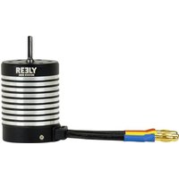 Reely RE-7083051 Ersatzteil Brushless-Motor von Reely