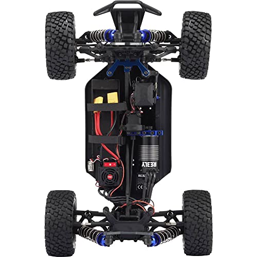 Reely Raptor 6S Brushless 1:8 RC Modellauto Elektro Buggy Allradantrieb (4WD) RTR 2,4 GHz von Reely