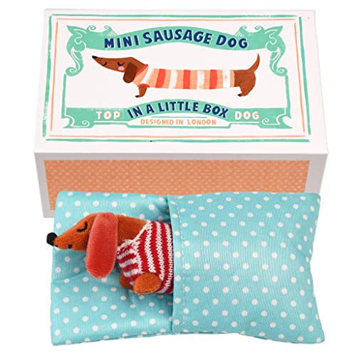 Rex London - Mini-Wursthund in kleiner Box 'Pear' von Rex London