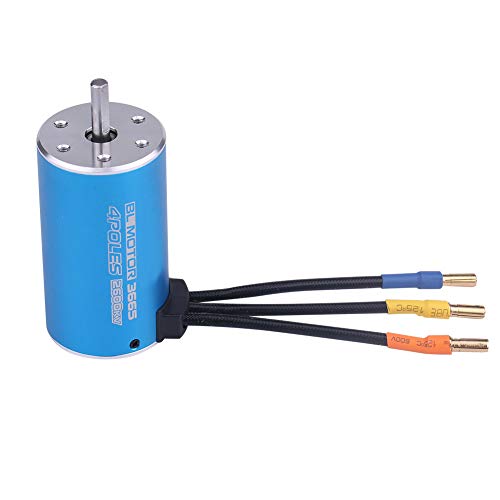 RiToEasysports 3665 2600KV 4-poliger Bürstenloser Motor, Bürstenloser RC-Car-Motor für RC-Car-Boot von RiToEasysports