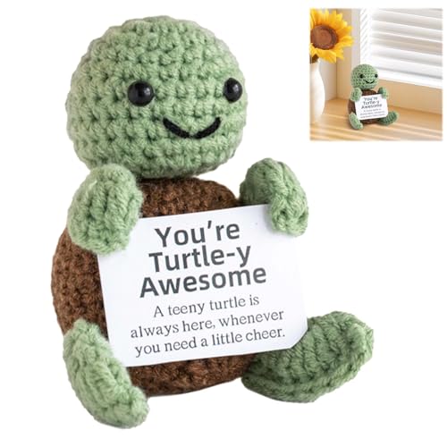 Rienan Positive Geschenke,Positive Schildkröte Glücksbringer,Positive Turtle Pocket Hug Glücksbringer Geschenk,Mini Strick Schildkröte Schildkröte Positive Geschenke Schildkrötenpuppe für Freunde von Rienan