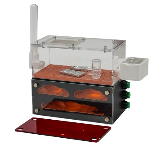 Rimsunta Ameisenfarm für lebende Ameisen - für kleine Ameisen-Klonie - Natürliches Lernspielzeug - Tolles Geschenk Rimsunta Ameisenfarm für lebende Ameisen - für kleine Ameisen-Klonie - Natürliches Lernspielzeug - Tolles Geschenk von Rimsunta