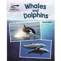 Reading Planet - Whales and Dolphins - White: Galaxy von Rising Stars UK Ltd