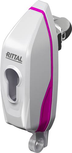 Rittal AX 2537.300 Handgriff Lichtgrau 1St. von Rittal