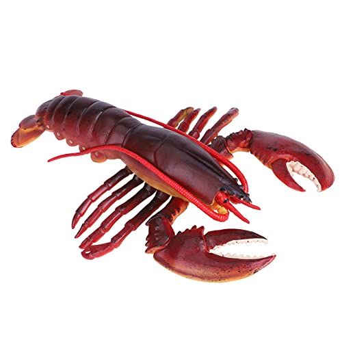 Hummerspielzeugmodell Weiche Plastik Realistisches Meeresfrüchte Sea Restaurant (23cm #02) von Riuulity