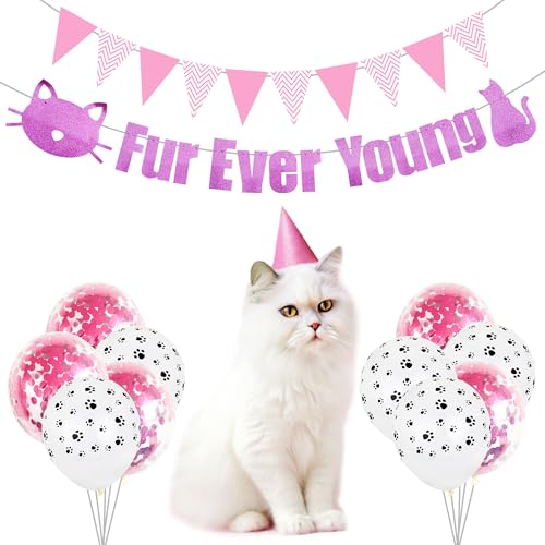 Roaring Good Time Katze Geburtstag Party Dekoration Fell Ever Young Pet Puppy Birthday Party Supplies Dekorationen Lets Pawty Balloons Puppy Themed Birthday Decorations Dog Balloons von Roaring Good Time