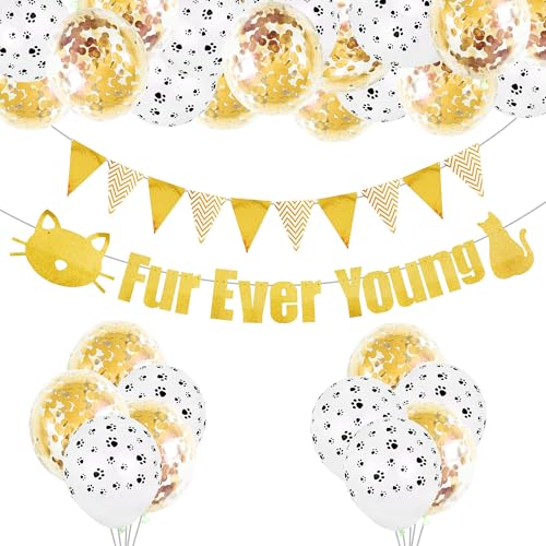 Roaring Good Time Katze Geburtstag Party Dekoration Fell Ever Young Pet Puppy Birthday Party Supplies Dekorationen Lets Pawty Balloons Puppy Themed Birthday Decorations Dog Balloons von Roaring Good Time