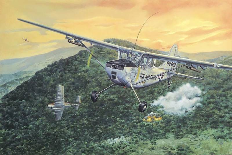 L-19/O-1 Bird Dog von Roden