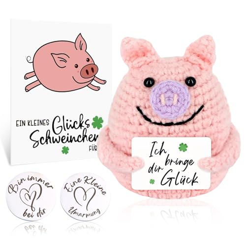 Pocket Hug Glücksschweinchen,Pocket Hug Deutsch Positive Geschenke Schwein Hug Gestrickte Tiny Schwein Puppe, Ein Tolles Geschenk für Familie und Freunde, Mini Pocket Hug Positivemit 1 Glücksbringer von Roinaid