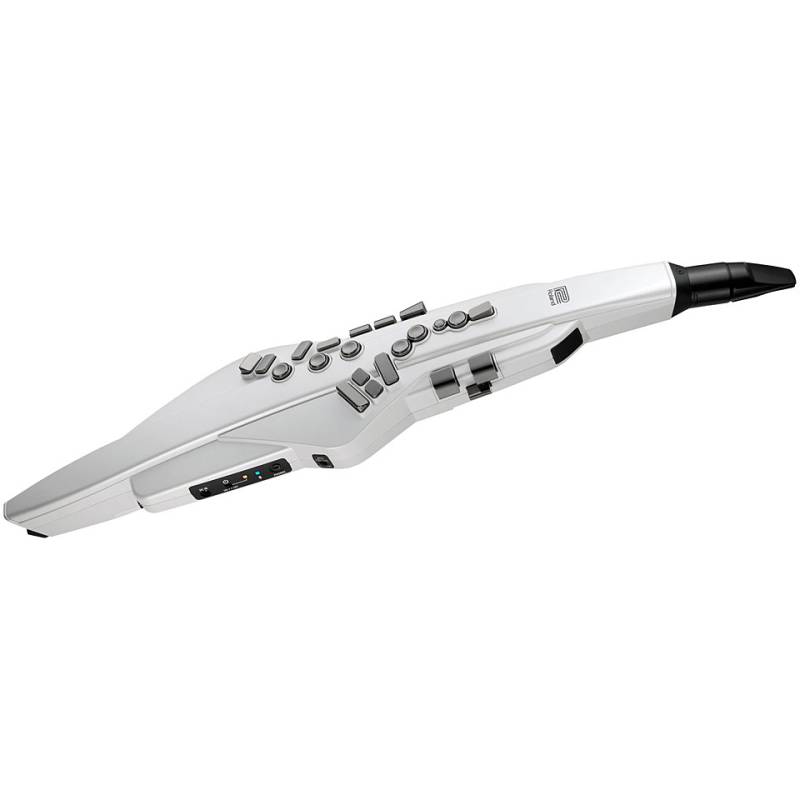 Roland Aerophone AE-20W Blaswandler von Roland