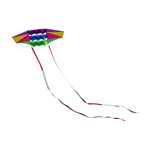 Ronyme 3D-Drachen Soft Pilot Kite Geburtstagsgeschenke Kindheit 10M Tails Kinderspiel Aktivität Traktionsdrachen für Rasenausflug Hinterhof von Ronyme