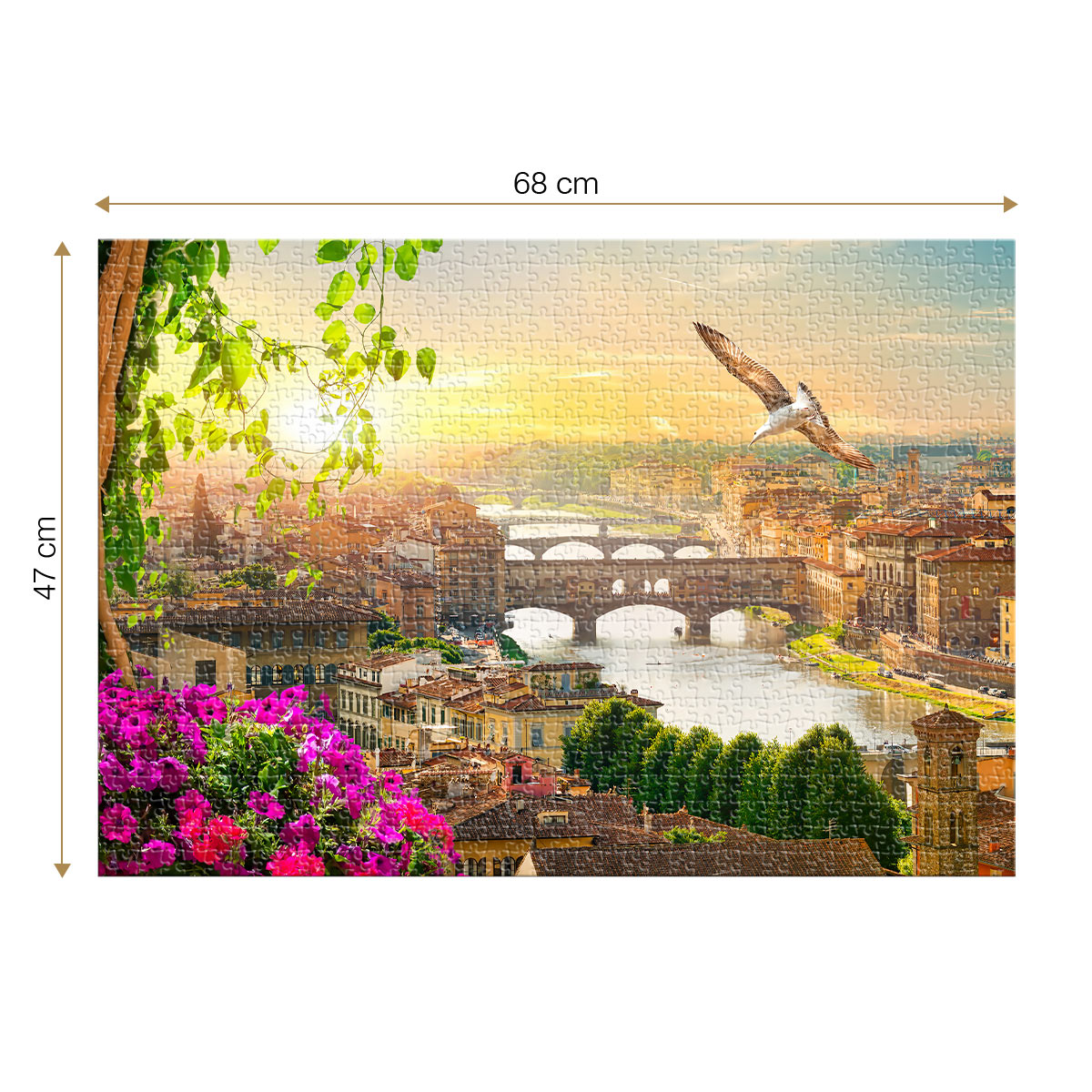 Roovi Florence, Italy 1000 Teile Puzzle Roovi-79954 von Roovi