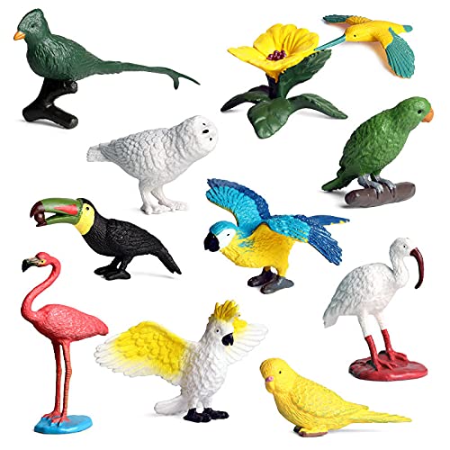 Kunststof Modell Vogel Figuren Sammelfiguren Objekthaften Kinder Spielzeug 10 Stück Realistische Tiere Figuren Plastik Miniatur Simulation Vogel Papagei Flamingo Reiher Wissenschaft Lehre Spielzeug von Ropniik