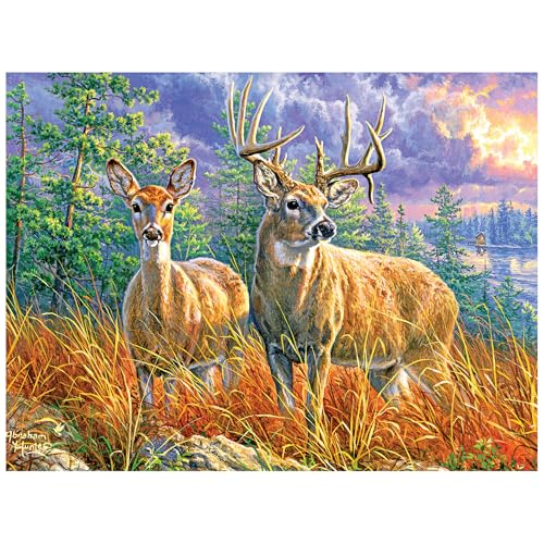 RoseArt - Abraham Hunter - Northern Whitetails - 300 Teile Puzzle für Erwachsene von Rose Art