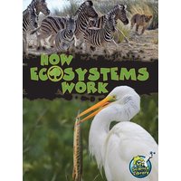 How Ecosystems Work von Rourke Educational Media