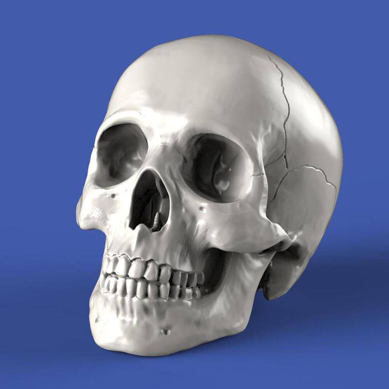 Skulls (54mm) von Royal Model