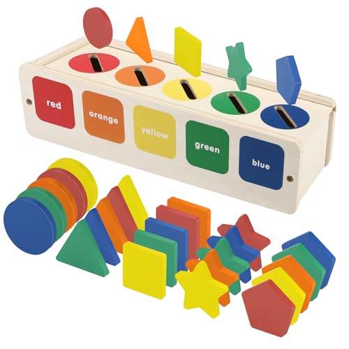 Royouzi Montessori Spielzeug 1 2 3 Jahre, Stapeln Passende Spielzeuge/Farbsortierung, Lernsortierspielzeug für Kleinkinder von 1-3 Jahren | Lernspielzeug als Geschenk für 2 jährige Jungen und Mädchen von Royouzi