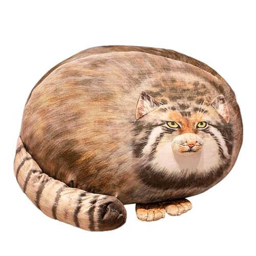 Rrlihjgu Pallas Cat Plush, Pallas Cat Pillow - 3D Soft Simuled Cat Doll | Sofa -Kissendekoration, umarmende Plüschbegleiterin für Feiertage, Zuhause, Erwachsene von Rrlihjgu