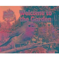 Welcome to the Garden von Ruby Tuesday Books Ltd