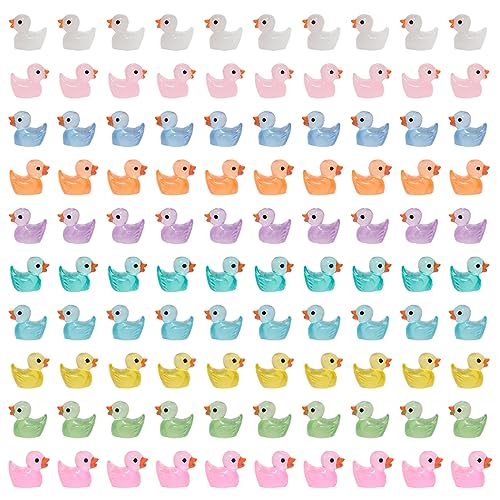 Ruikdly Mini Enten Leuchtend Mini Enten 100 Stück Mini Harzente Ente Bunte Kleine Enten Mini Ducks für Aquarium Miniaturgarten Puppenhaus Handwerk Topfdekorationen zum Selbermachen von Ruikdly
