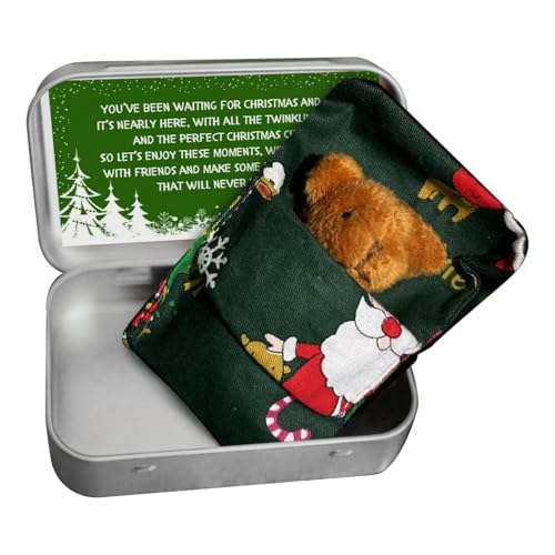 Ruilonghai Taschenbär Kleines Stofftier,Tiny Bear Plüschtier mit Karten und Quilts - Niedlicher und weicher Stoffbär, Bärenpuppen, Taschenbärenspielzeug als Weihnachtsgeburtstagsgeschenk von Ruilonghai