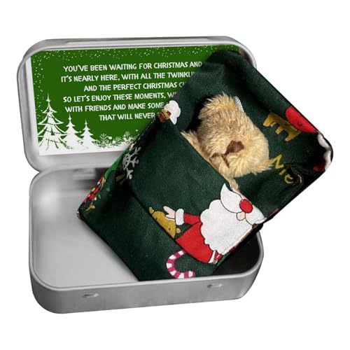 Rukjmqi Taschenbär Kleines Stofftier,Weihnachten Bär in Box Stofftier Bär | Winziger Bär in Box Weihnachten, Stoffbär, Taschenbär-Spielzeug mit Karten und Steppdecken für Babyparty-Geburtstag von Rukjmqi