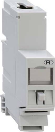 Rutenbeck UM-Cat.6A iso-REG REG-Montageadapter UM-Cat.6A iso A iso-REG 13910200 1St. von Rutenbeck