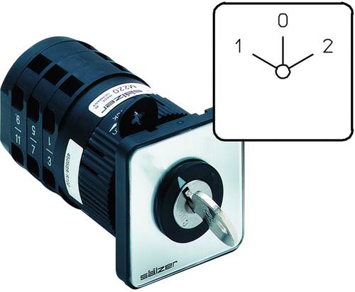 Sälzer M220-61025-S001N Nockenschalter 20A 2 x 60° Grau, Schwarz 1St. von Sälzer