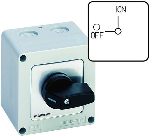 Sälzer M220-61199-107M1 Nockenschalter 20A 1 x 90° Grau, Schwarz 1St. von Sälzer