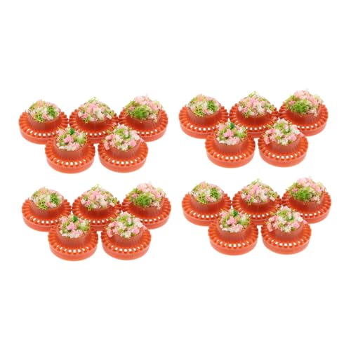 SAFIGLE 20 Stück Maßstab für Puppenhaus Dekoration Mini Gartenpflanzen Sukkulenten Bastelbedarf Modelllandschaft Sandtisch SAFIGLE 20 Stück Maßstab für Puppenhaus Dekoration Mini Gartenpflanzen Sukkulenten Bastelbedarf Modelllandschaft Sandtisch von SAFIGLE