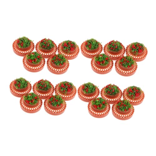 SAFIGLE 20 Stück Miniatur Plastik Blumenpflanzkübel für Sandtisch Landschaftsbau Leichte Miniatur Blumenkübel für Modellbau und Puppenhaus Zubehör SAFIGLE 20 Stück Miniatur Plastik Blumenpflanzkübel für Sandtisch Landschaftsbau Leichte Miniatur Blumenkübel für Modellbau und Puppenhaus Zubehör von SAFIGLE