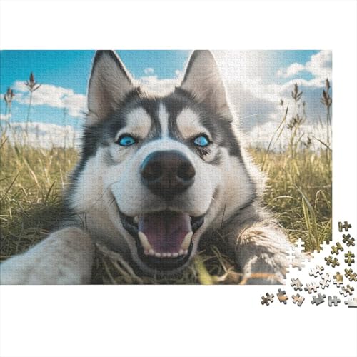 Sibirischer Husky 500 Puzzleteilige Erwachsener,Pet Hund(Snow Husky) Impossible Puzzle,Familien-Puzzlespiel 500pcs (52x38cm) von SANDUOHUA