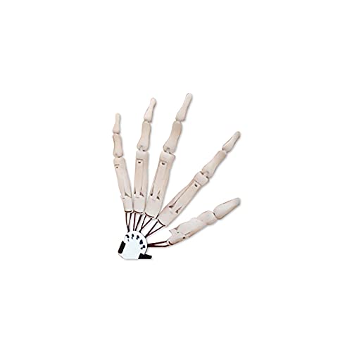 Halloween-Gelenkfinger, Gelenkfingerverlängerungen mit Flexiblen Gelenken, Halloween-Roboterklaue, für Partykleid-Cosplay-Kostüm-Requisiten (E) von SASKATE