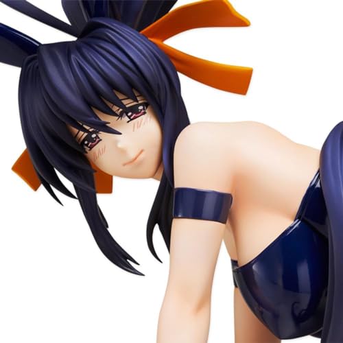 SBNYTBLW Neue Anime-Figur Ecchi High School DXD – Himejima Akeno – 1/4 – Bunny Ver. Actionfiguren, Modell Einer Comicfigur, Zeichnungen, Tiere, Dekoration, PVC, 11,8 Zoll/30 cm von SBNYTBLW