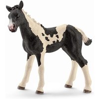 SCHLEICH 13803 FARM WORLD® Pinto Fohlen von SCHLEICH® FARM WORLD