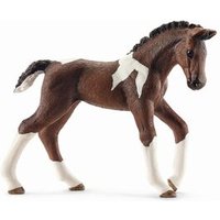 SCHLEICH 13758 HORSE CLUB Trakehner Fohlen von SCHLEICH® HORSE CLUB