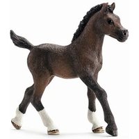 SCHLEICH 13762 Araber Fohlen von SCHLEICH® HORSE CLUB