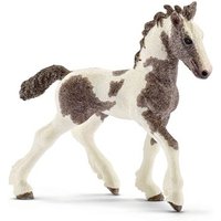 SCHLEICH 13774 Tinker Fohlen von SCHLEICH® HORSE CLUB