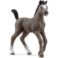 SCHLEICH 13957 Cheval de Selle Francais Fohlen von SCHLEICH® HORSE CLUB