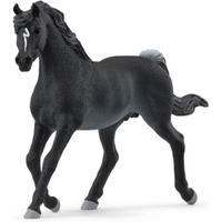 SCHLEICH 13981 HORSE CLUB Araber Hengst von SCHLEICH® HORSE CLUB