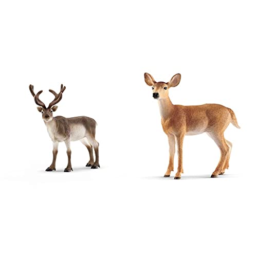 SCHLEICH® 14837 Rentier, für Kinder ab 3+ Jahren, WILD Life - Spielfigur & ® 14819 Weißwedelkuh, für Kinder ab 3+ Jahren, WILD Life - Spielfigur von SCHLEICH