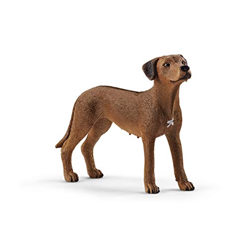 schleich 13895 Rhodesian Ridgeback, für Kinder ab 3+ Jahren, FARM WORLD - Spielfigur, Weizenfarben von SCHLEICH