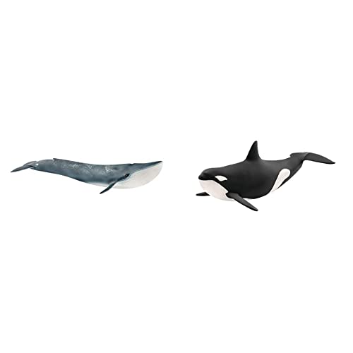 SCHLEICH 14806 Blauwal, für Kinder ab 3+ Jahren, WILD LIFE - Spielfigur & 14807 Orka, für Kinder ab 3+ Jahren, WILD LIFE - Spielfigur von SCHLEICH