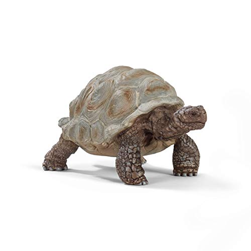 schleich WILD LIFE 14824 Realistische, Exotische Galapagosschildkröte - Tiere Riesenschildkröte - Wilde Tiere Figuren Sets für Phantasievolles Spiel für Kinder Alter 3+, TU von SCHLEICH